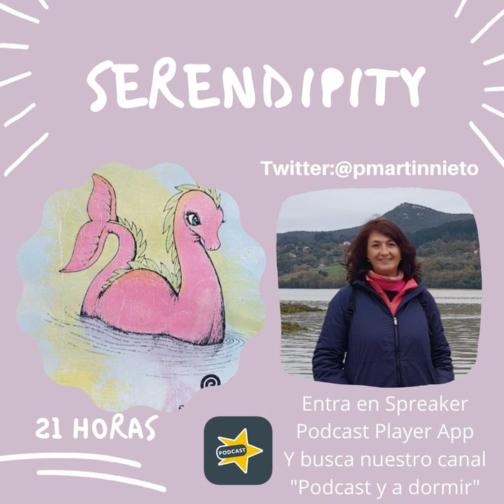 53. Serendipity. Pilar Martín