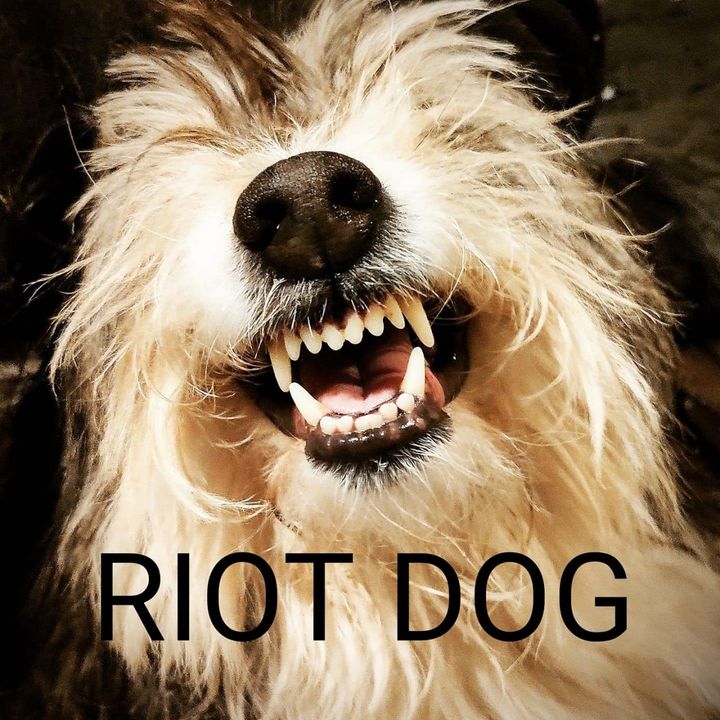 PAW 1x09: RIOT DOG