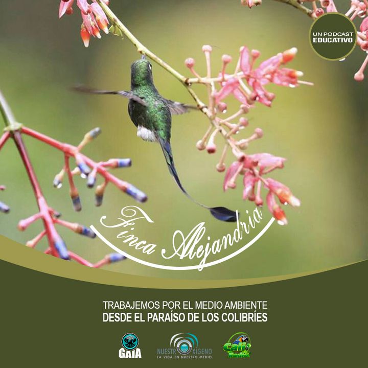 NUESTRO OXÍGENO Trabajemos por el medio ambiente desde el paraíso de los colibríes - Raúl Nieto