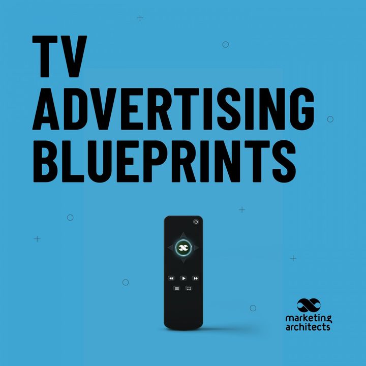 TV Advertising Blueprints: Building Brands and Driving Sales