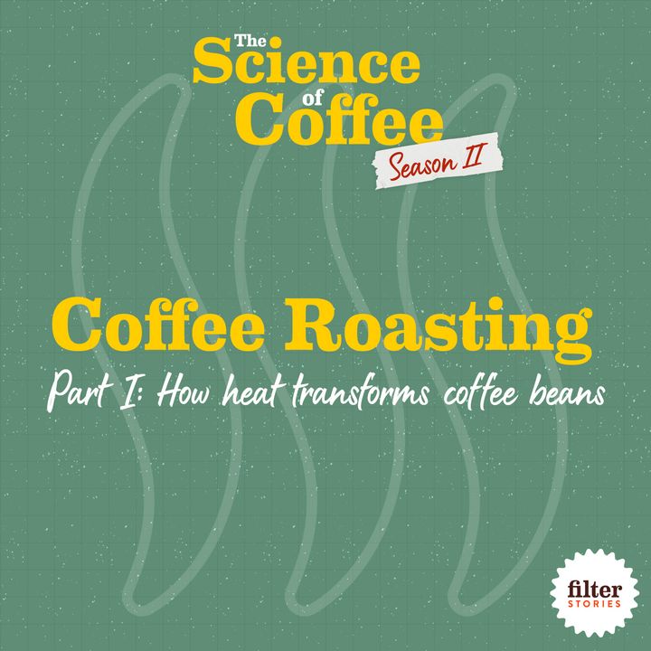 Coffee Roasting, Part 1: How heat transforms coffee beans