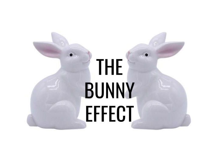 The Bunny Effect - Morning Manna #3005