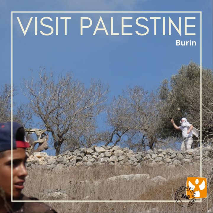 Visit Palestine: 08 Burin – Violenza dei coloni