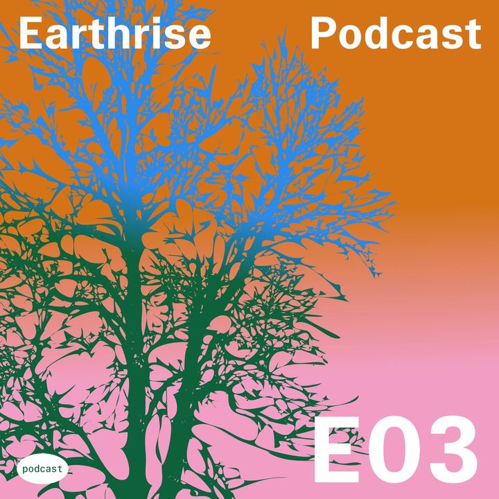 #3 Earthrise