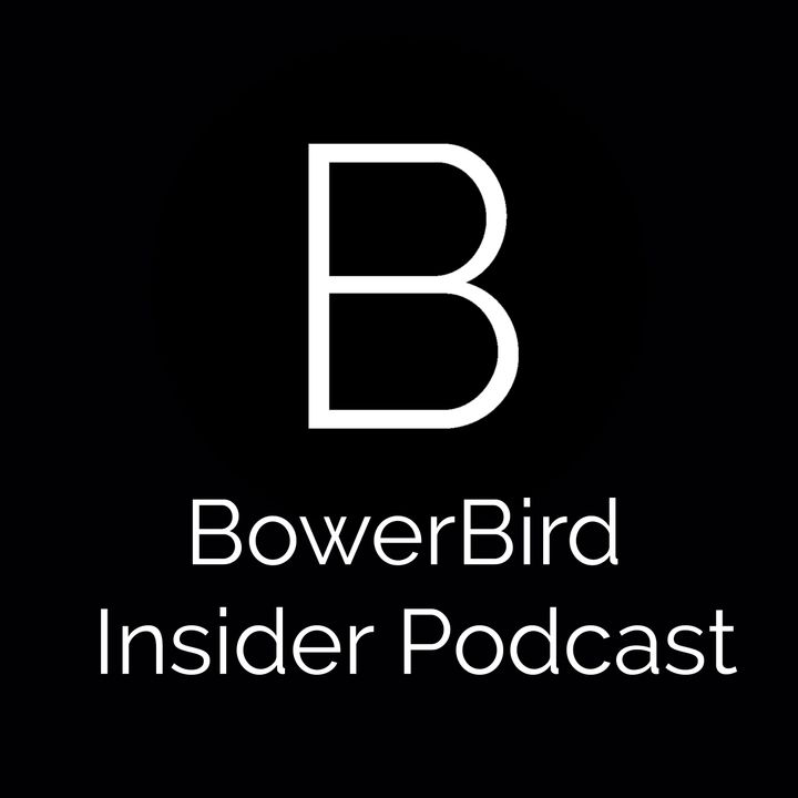 BowerBird Insider Podcast