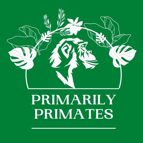 Episode 13 - The Purring Primate (TITIS)