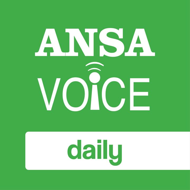 ANSA Voice daily