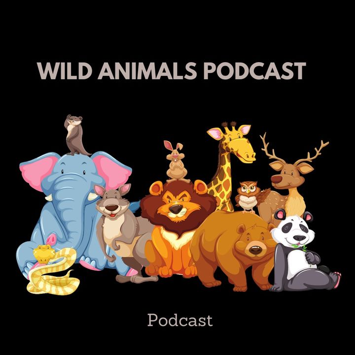 Wild animals podcast