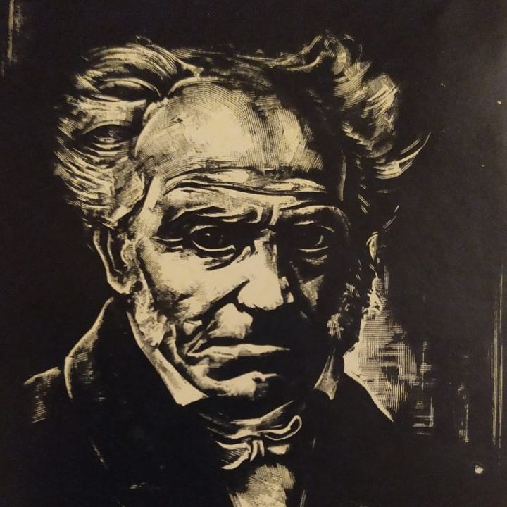 Schopenhauer - La voluntad, el pesimismo y el arte