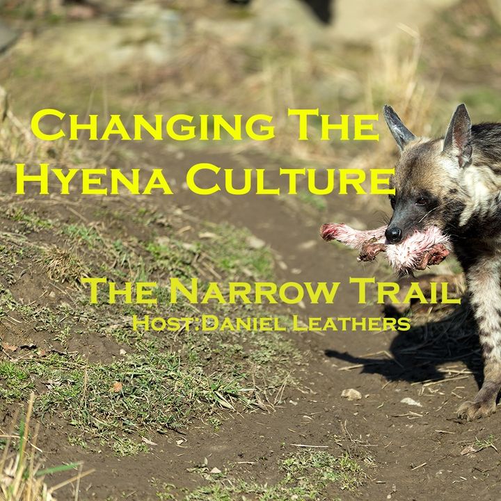 Changing The Hyena Culture