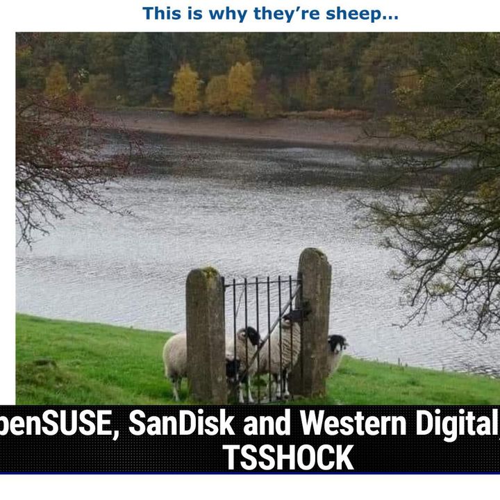 Security Now 936: When Heuristics Backfire