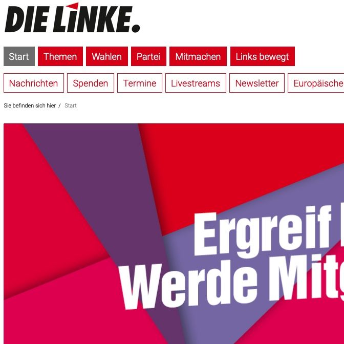 Die Linke: eco-socialismo democratico che non rinnega la DDR