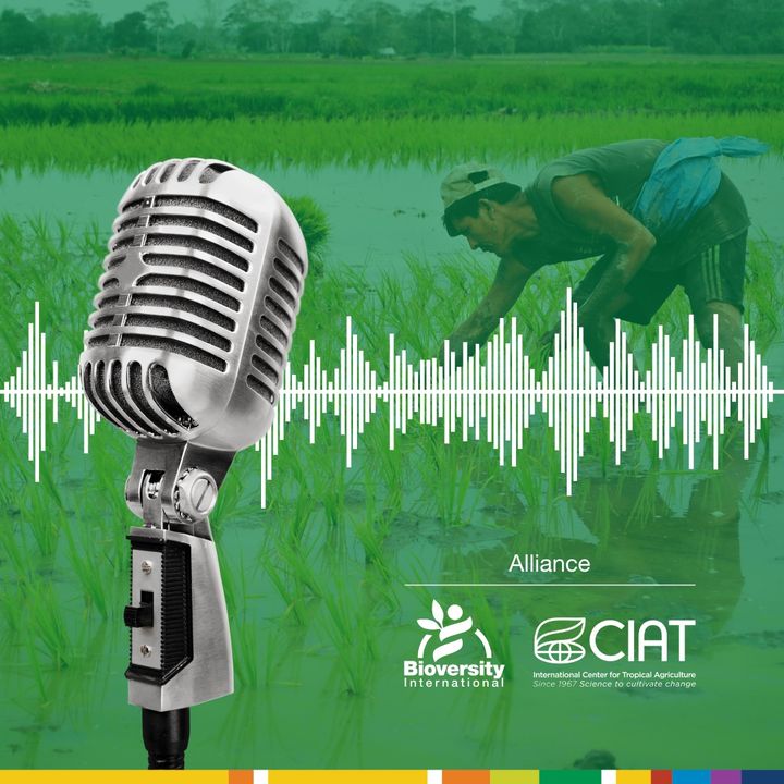 Climate Resilience in Agriculture