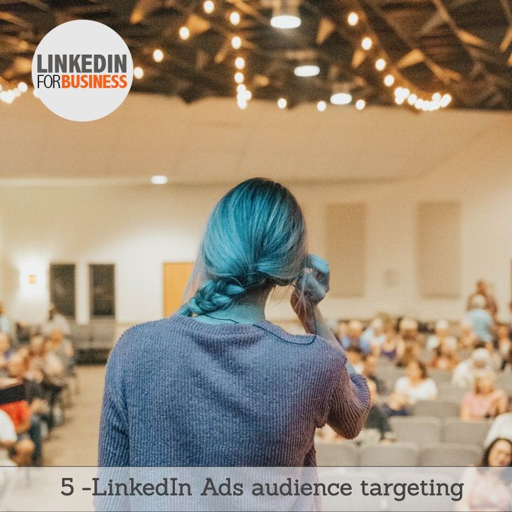 95- LinkedIn Audience targeting