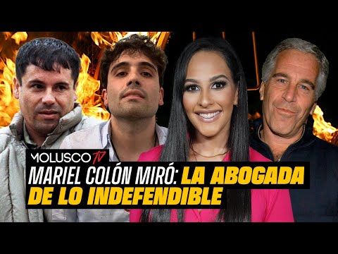 Abogada de El Chapo y Jeffrey Epstein cuenta interioridades de sus