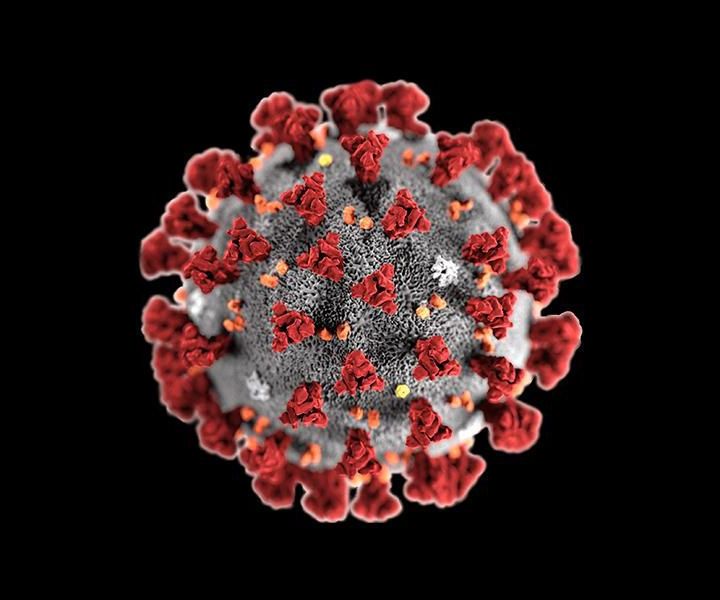 Coronavirus Update & Resources