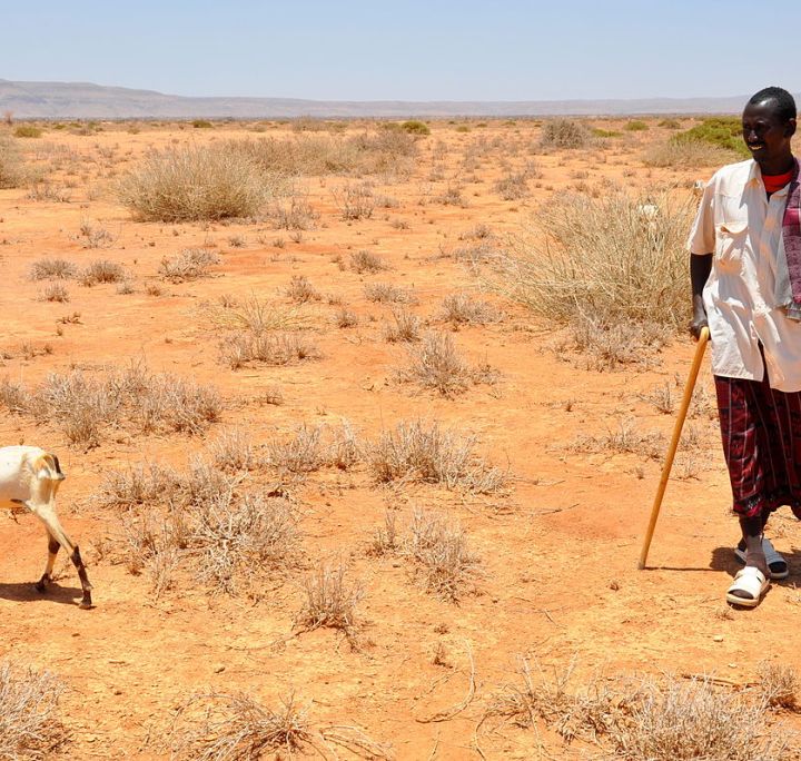Corno d'Africa, il climate change ha provocato la peggior siccità degli ultimi 40 anni