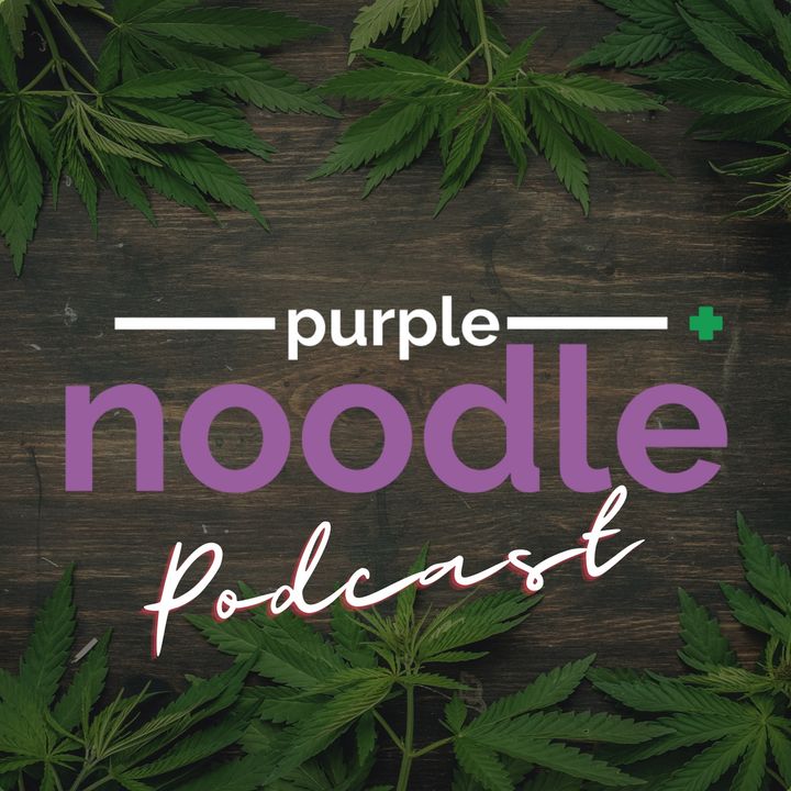 Purple Noodle Marketing Podcast
