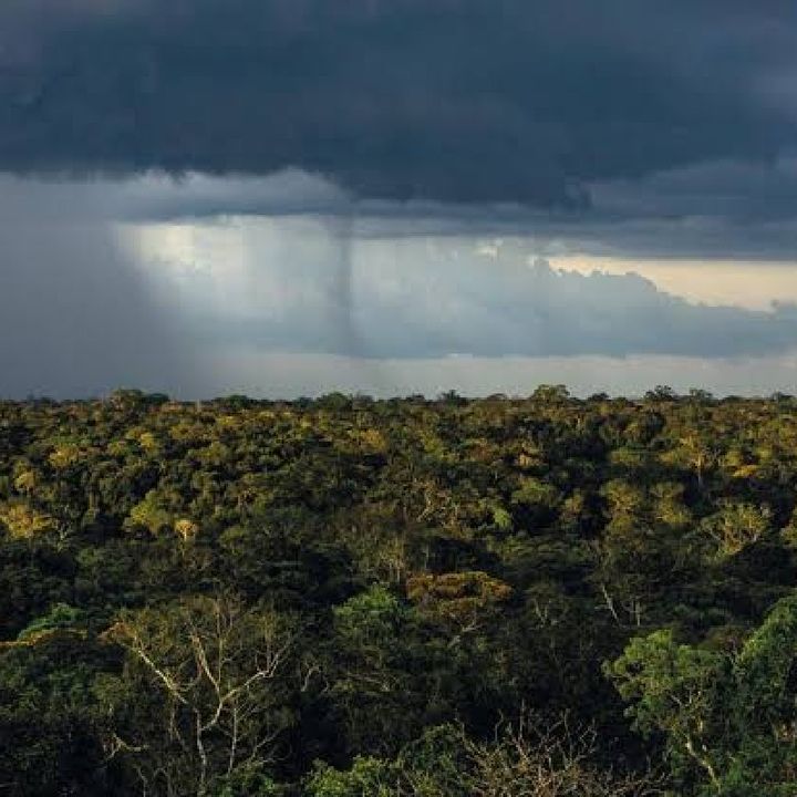 Clima da Amazônia