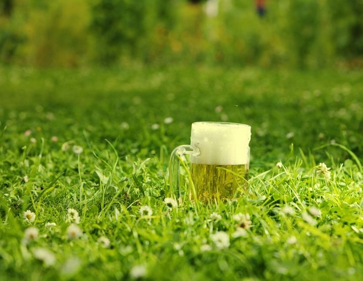 La birra fa bene al suolo: grazie agli scarti le rese segnano +15%