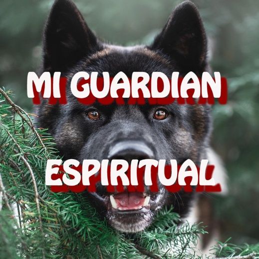 Mi Guardian Espiritual / Relato de Terror