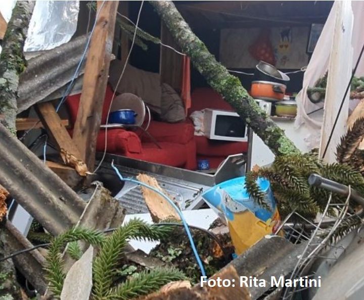 Rastro do ciclone: Pinheiro cai em residência e deixa uma pessoa ferida em Caçador no meio oeste catarinense