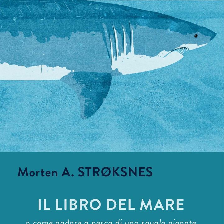 Francesco Felici "Il libro del mare"