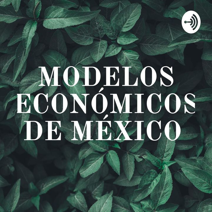 1970 y los Modelos Económicos