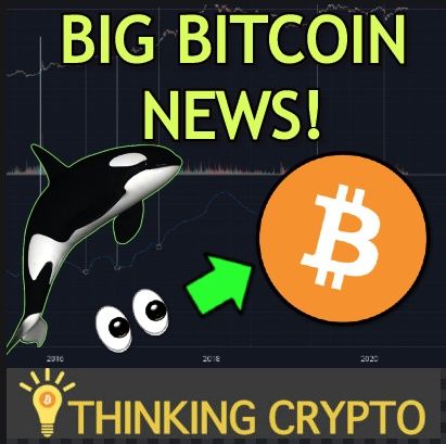$1.15 Billion In BITCOIN Moved & BTC Whales Near 2016 Levels - LibertyX CRYPTO ATMs Big News