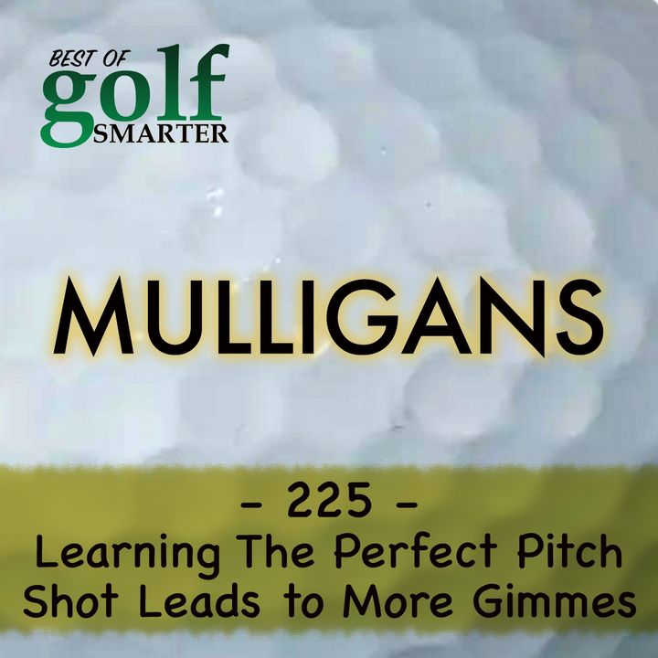 Learning the Perfect Pitch Shot Will Lead to More Gimmes! with Chris Fry - pt1 of 2