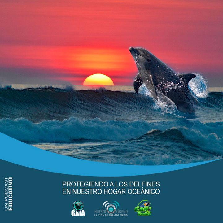 NUESTRO OXÍGENO Protegiendo a los delfines en nuestro hogar oceánico