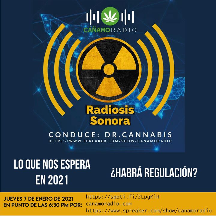 Radiosis Sonora Numero 21