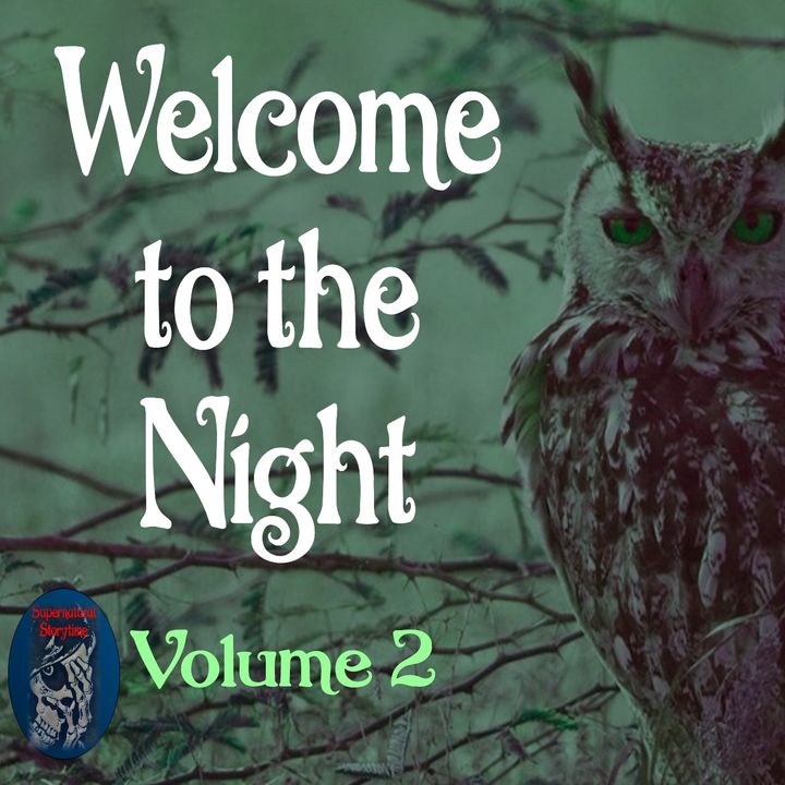 Welcome to the Night | Volume 2 | Podcast E274