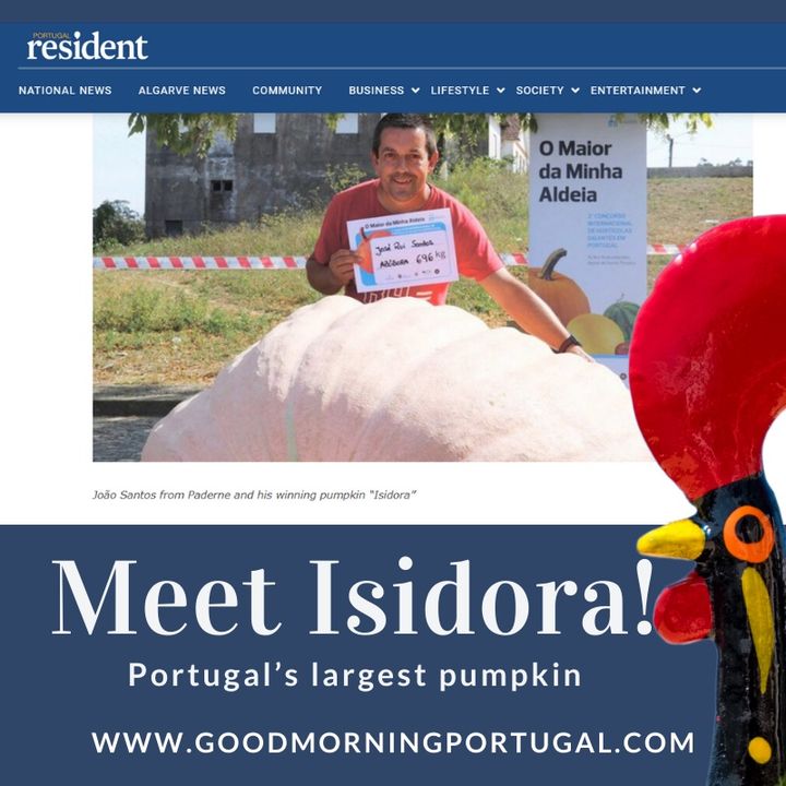 Portugal news, weather & today: poetry, pumpkins & pastelarias