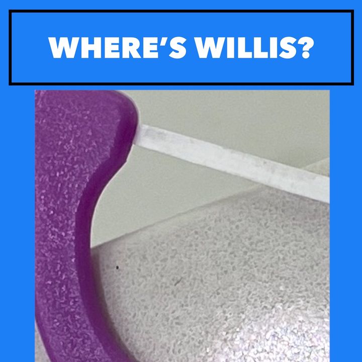 🧩 WHERE'S WILLIS? #1