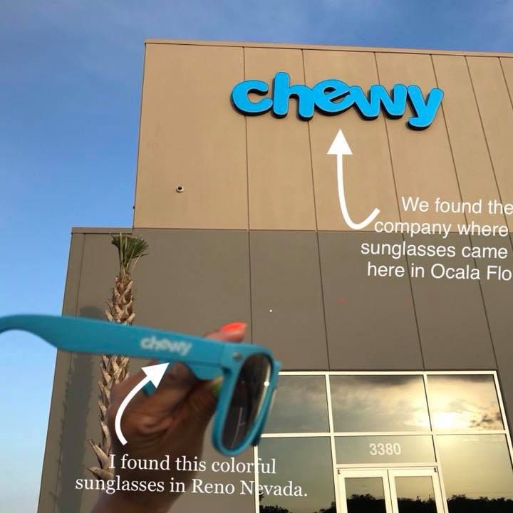 Chewy blue sunglass