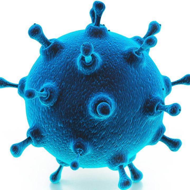 Influenzavirus