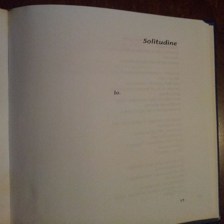 La solitudine parla da sola