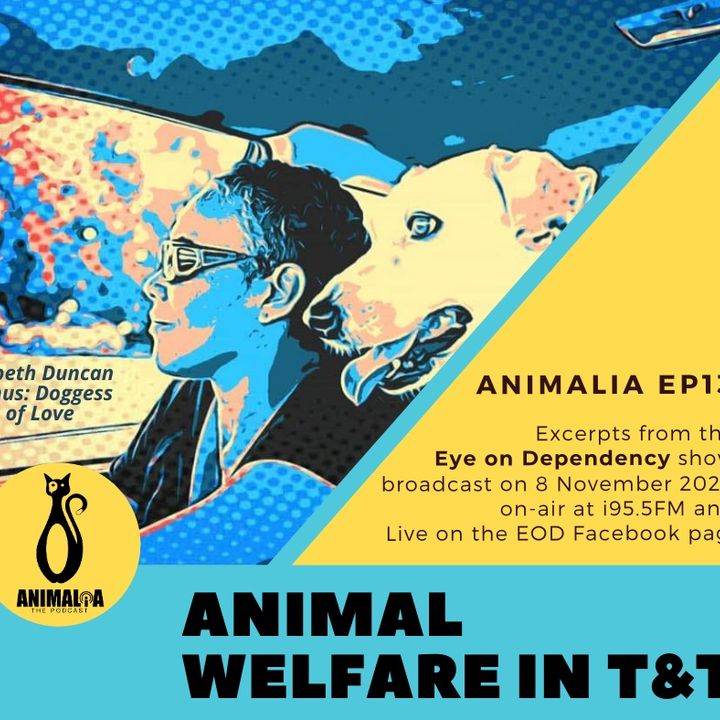 ANIMALIA 13 - Animal Welfare on EOD - 13Nov20