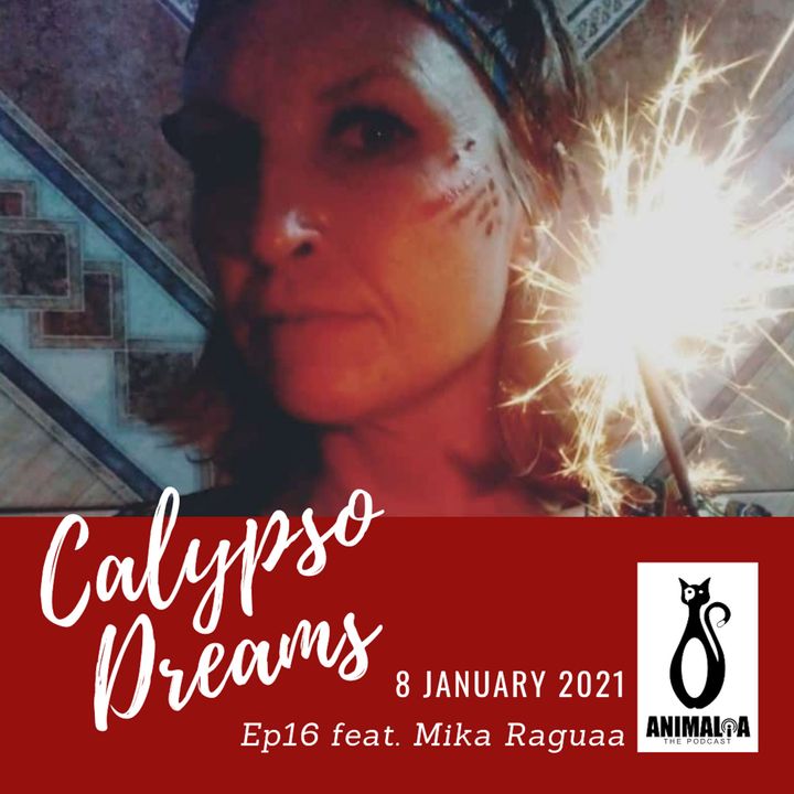 ANIMALIA 16 - Calypso Dreams - 8Jan21
