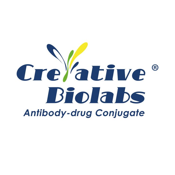 antibody conjugation