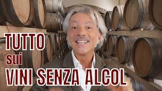 133  TUTTO sui VINI SENZA ALCOL
