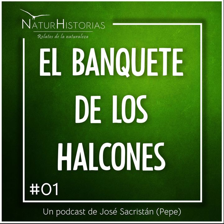 #01 - el banquete de los halcones - naturhistorias.