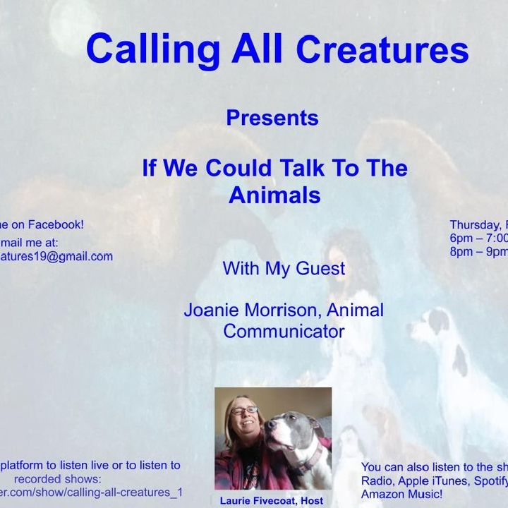 Calling All Creatures Presents If We Could Talk To The Animals
