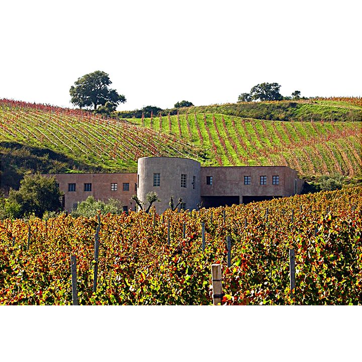 Azienda vitivinicola Giuseppe Gabbas a Nuoro (Sardegna)