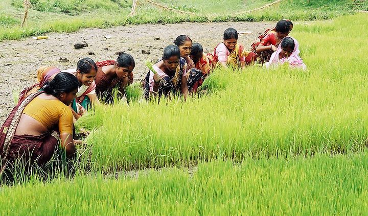Degrado del suolo e crisi alimentare colpiscono il Bangladesh