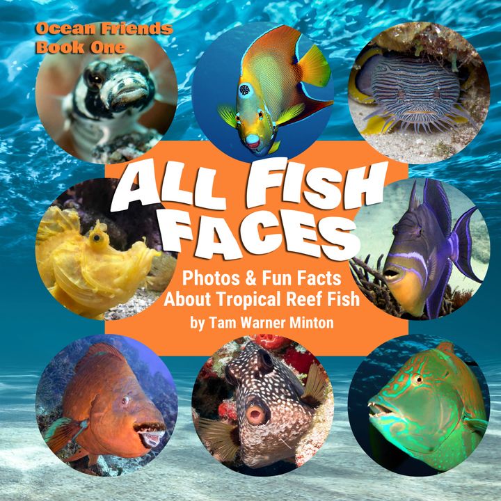 Big Blend Radio: Tam Warner Minton - All Fish Faces