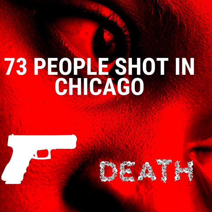 73 Shot 11 Dead In Chicago