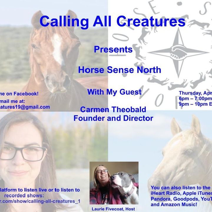 Calling All Creatures Presents Horse Sense North