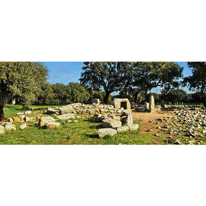 La Necropoli Megalitica di Pranu Mutteddu a Goni (Sardegna)